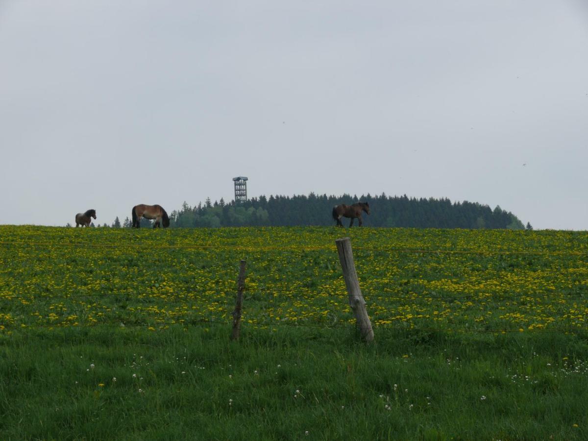 Ferienwohnung Nimm Dir Zeit Hinterhermsdorf Zewnętrze zdjęcie